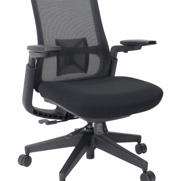 Reach Series Mesh Back with Black Frame, 3D Adjustable Arms, Patented Seat Support for Leaning, Black Fabric Molded Seat EM6900-BLK