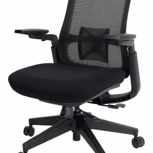 Reach Series Mesh Back with Black Frame, 3D Adjustable Arms, Patented Seat Support for Leaning, Black Fabric Molded Seat EM6900-BLK